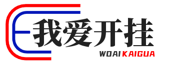 我开开挂